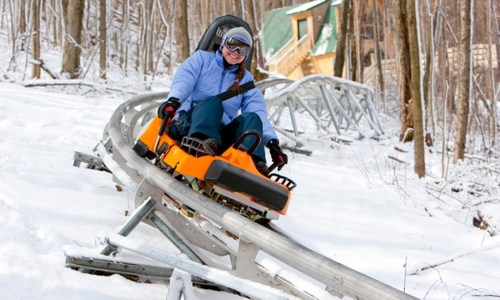 A person rides a bright orange alpine coaster on a snowy track in a wooded area.