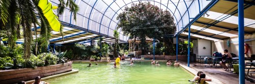 Indoor pool surrounded by greenery, with people swimming and relaxing under a large transparent roof.
