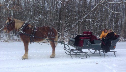 A horse-drawn sleigh in a snowy forest, with two people seated inside, enjoying the winter scenery.