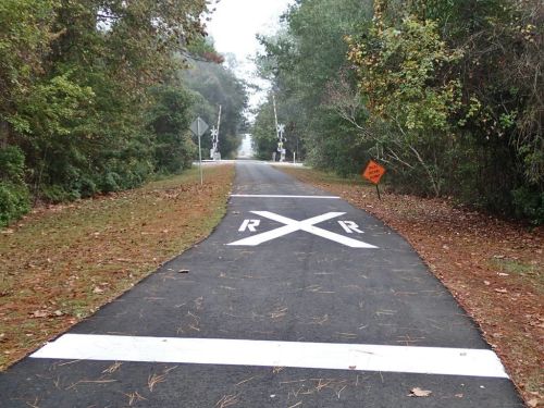 A foggy road with a railroad crossing sign and markings, surrounded by trees and fallen leaves.
