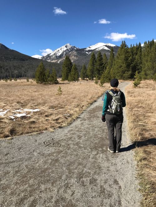A person walks along a gravel path in a mountainous landscape, surrounded by trees and open fields.