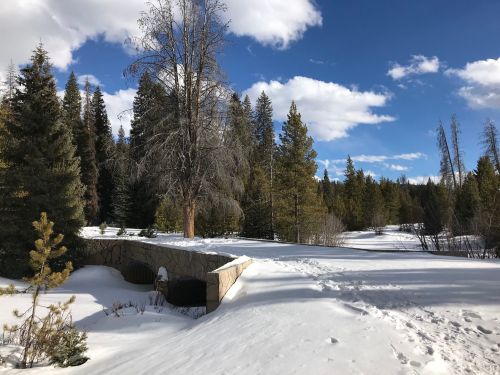 A snowy landscape with evergreen trees and a stone bridge under a blue sky with fluffy clouds.