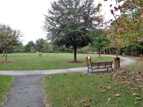 A park scene featuring a bench, walking path, trees, and scattered leaves on the ground.