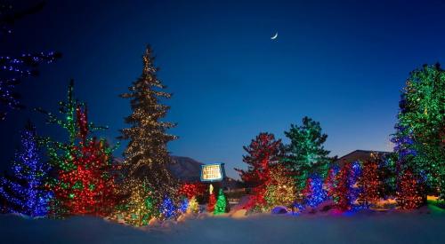 A winter scene with colorful Christmas lights on trees, set against a twilight sky with a crescent moon.