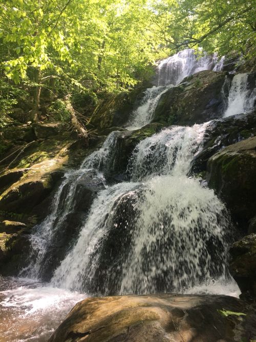 A serene waterfall cascading over rocks, surrounded by lush green trees and foliage.
