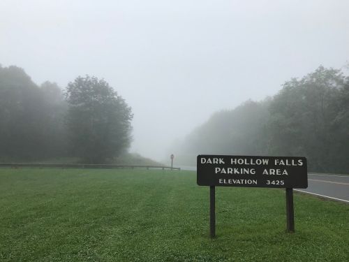 A foggy scene showing a sign for Dark Hollow Falls parking area, with trees and a grassy field in the background.