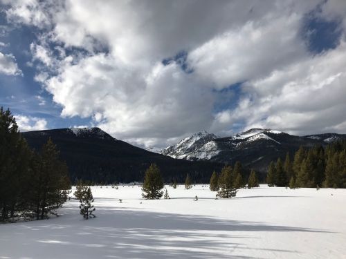 Snow-covered landscape with mountains in the background and scattered pine trees under a cloudy sky.