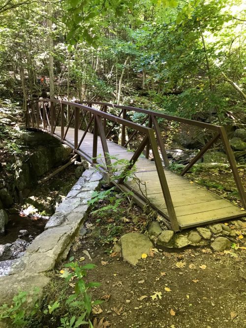 A wooden bridge spans a small stream in a lush, green forest, surrounded by trees and rocky terrain.