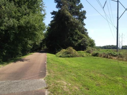 A tree-lined path beside a grassy area, with power lines in the background under a clear blue sky.