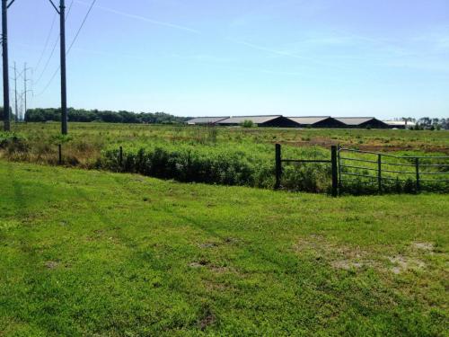 A grassy field with a fence, power lines, and a barn in the background under a clear blue sky.