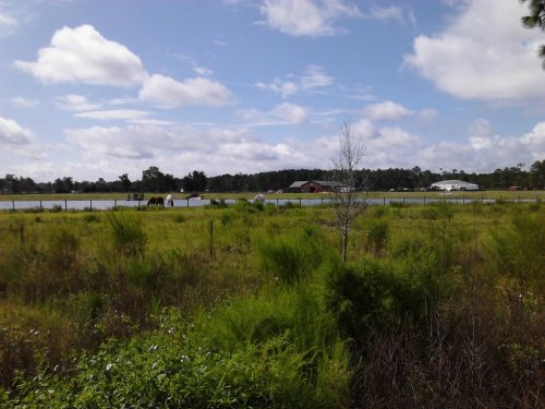 A rural landscape featuring a grassy field, a fence, and a distant barn under a partly cloudy sky.