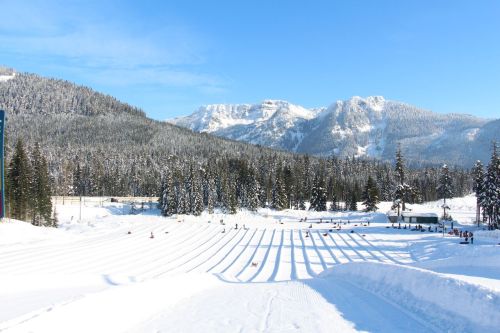 A snowy landscape with sledding hills, surrounded by tall evergreen trees and mountains under a clear blue sky.