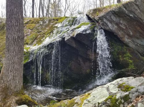 A small waterfall cascades over moss-covered rocks in a serene forest setting.