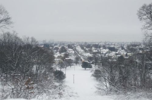 A snowy landscape view of a town, with trees and houses blanketed in white under a gray sky.