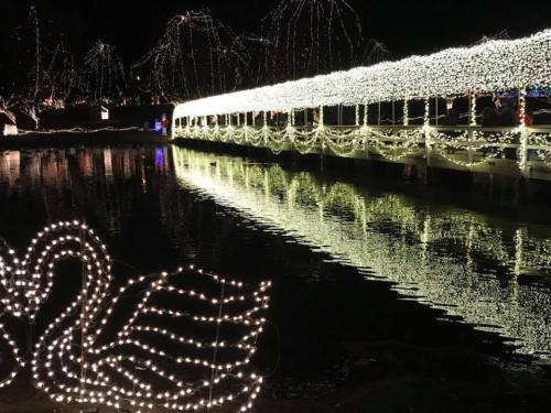 A serene night scene featuring a bridge adorned with bright lights, reflecting in the water, with a lit swan in the foreground.