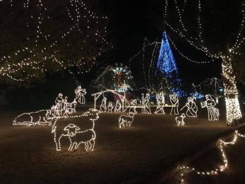 A festive display of illuminated figures, including animals and a Christmas tree, set against a night sky.