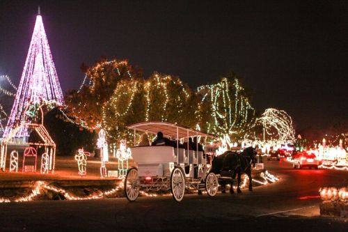 A horse-drawn carriage passes by colorful holiday lights and a large illuminated tree at night.