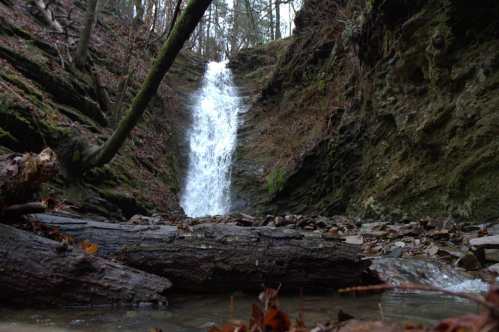 A serene waterfall cascades down a rocky cliff, surrounded by trees and fallen logs in a tranquil forest setting.