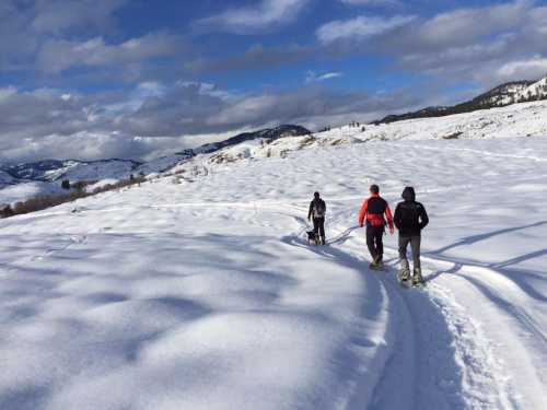 Three people and a dog walking on a snowy trail with mountains in the background under a partly cloudy sky.