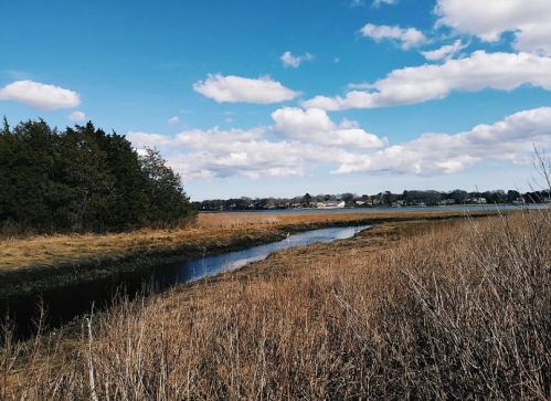 A serene landscape featuring a winding stream, tall grasses, and a cloudy blue sky over a calm waterway.