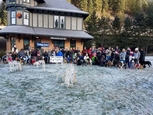 A large group of people and dogs gather outside a building for a festive event, surrounded by frosty grass and trees.