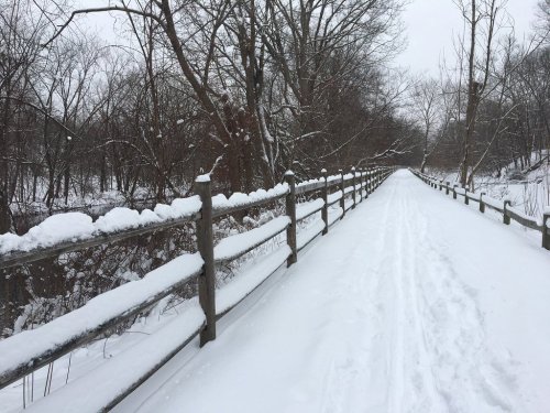 A snowy path lined with a wooden fence, surrounded by bare trees in a winter landscape.