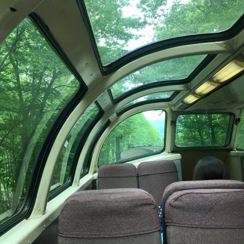 Interior view of a train with large windows, showcasing lush green trees outside. Seats are visible in the foreground.