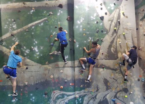Four climbers ascend a colorful indoor rock climbing wall featuring a tree mural.