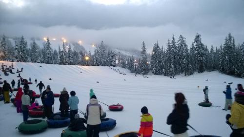 A snowy landscape with people tubing down a hill, surrounded by evergreen trees and cloudy skies.