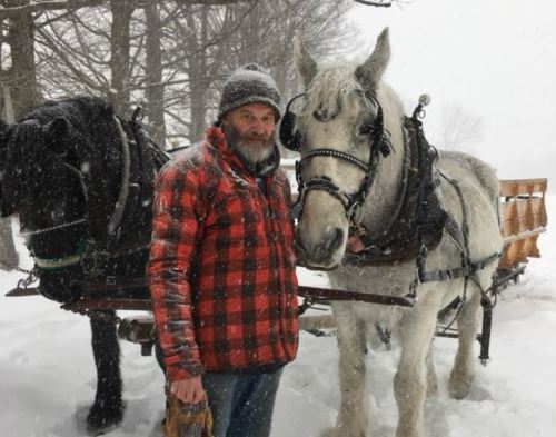 A man in a red plaid jacket stands beside two horses in a snowy landscape, with a sled in the background.