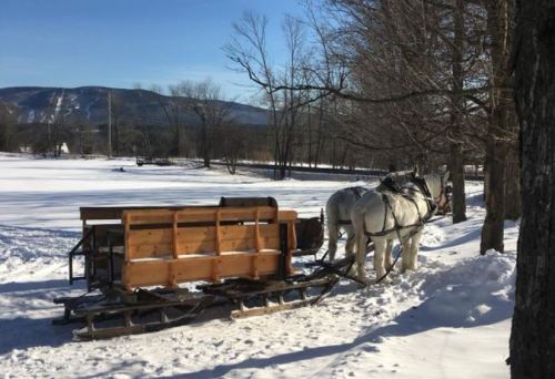 A horse-drawn sleigh parked in a snowy landscape with mountains in the background under a clear blue sky.