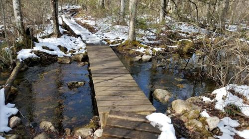 A wooden bridge crosses a stream in a snowy forest, surrounded by trees and rocky terrain.