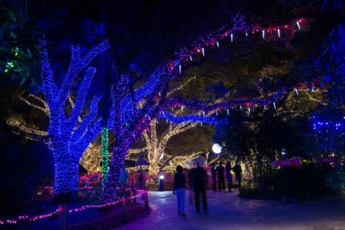 A pathway illuminated by vibrant blue and purple lights on trees, with silhouettes of people walking through the scene.
