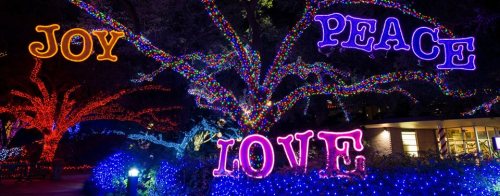 Colorful holiday lights illuminate trees, featuring the words "Joy," "Peace," and "Love" in vibrant colors.