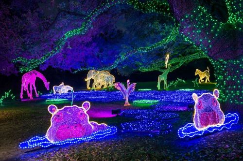 Colorful illuminated animal sculptures in a garden, featuring a hippo, elephant, horse, and more, surrounded by vibrant lights.