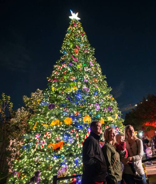 A family stands in front of a brightly lit Christmas tree at night, decorated with colorful ornaments and lights.
