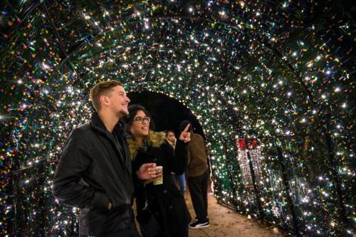 A couple stands under a tunnel of colorful holiday lights, smiling and enjoying the festive atmosphere.