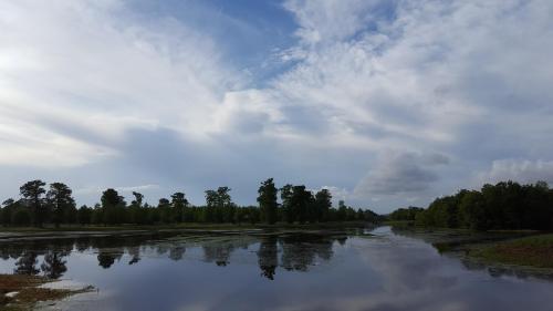 A serene landscape featuring a calm river reflecting the sky, surrounded by trees and lush greenery under a cloudy sky.