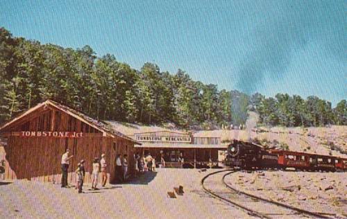 A vintage train station in Tombstone, surrounded by trees, with a train approaching and people waiting nearby.