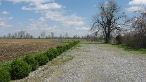A gravel path lined with shrubs leads to a field under a blue sky with scattered clouds and a distant tree line.