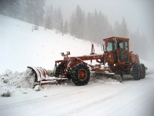 A snowplow clears a snowy road during a heavy snowstorm, surrounded by trees in a winter landscape.