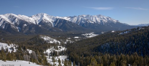 Snow-capped mountains rise above a forested valley under a clear blue sky, showcasing a serene winter landscape.