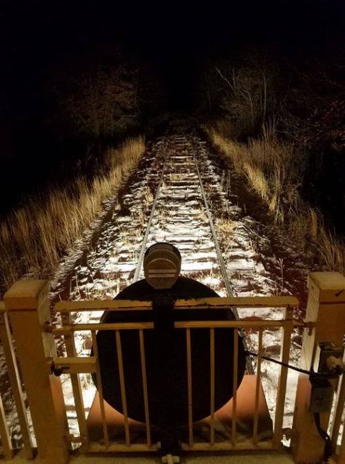 View from the front of a train at night, illuminating a deserted railway track surrounded by dark trees.