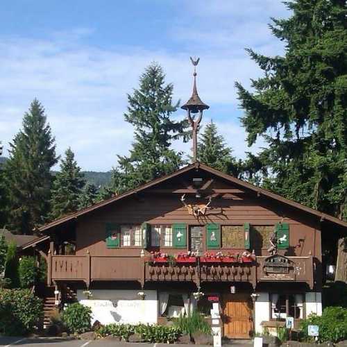 A charming wooden chalet with green shutters, surrounded by tall trees and a clear blue sky.