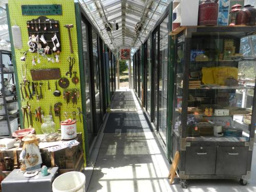 A narrow aisle between display cases filled with vintage items and collectibles in a bright, airy space.
