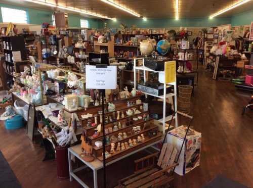 A spacious thrift store filled with various items, including decor, books, and collectibles, organized on shelves and tables.