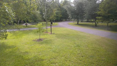 A peaceful park scene with green grass, trees, and winding paths under a clear sky.