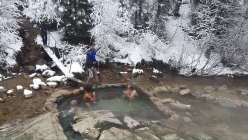 A group of people relax in a hot spring surrounded by snowy trees and a flowing stream.