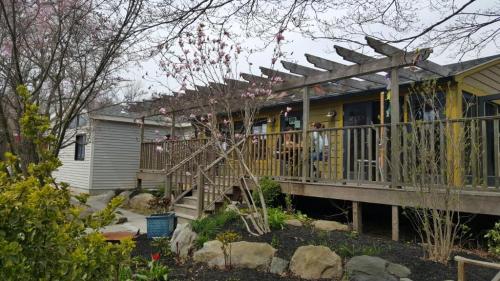 A wooden deck with a pergola, surrounded by blooming trees and shrubs, leading to a cozy yellow house.