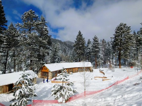 A snowy landscape featuring a wooden building surrounded by tall pine trees and a clear blue sky.